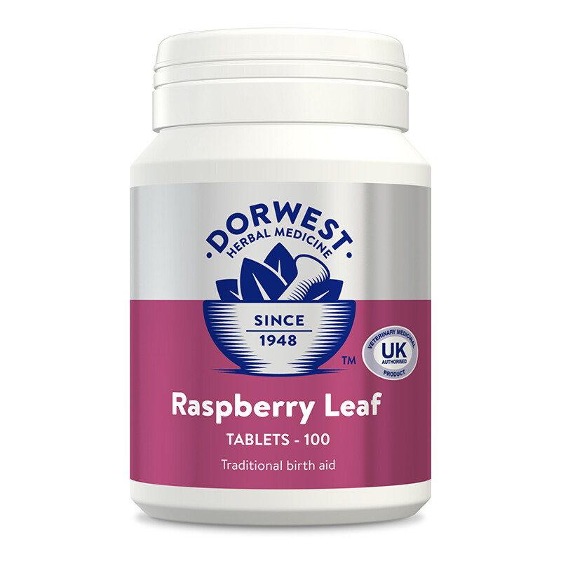 Raspberry Leaf 100 tablets