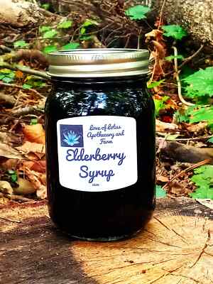 Elderberry Syrup - Organic Ingredients - 16oz