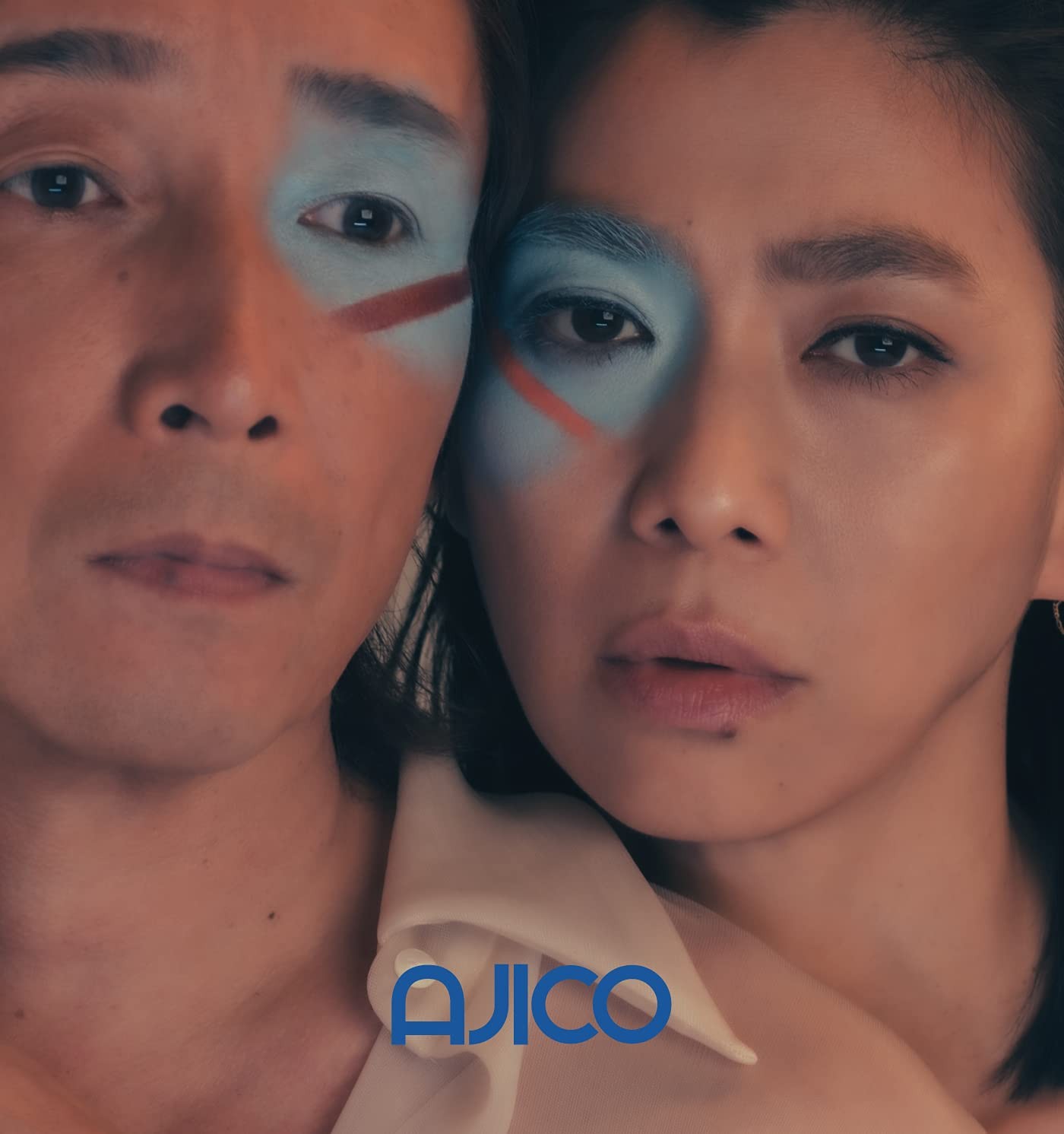 Ajico Connection Analog Analog (Vinyl)