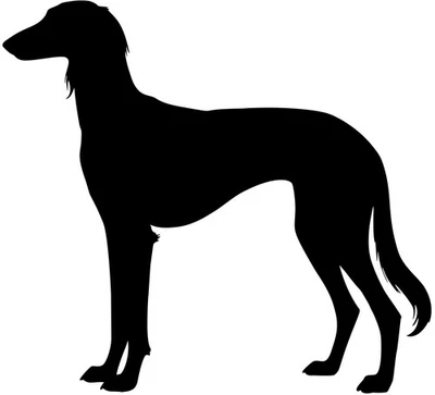 SALUKI Windhund Aufkleber Autoaufkleber Folienaufkleber Silhouette #46 - Bild 1 von 3