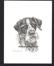 #413 GERMAN WIREHAIRED POINTER dog art print ...