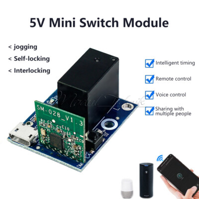 Ewelink Intelligent DC5V WiFi Switch Wireless Relay Module Remote Control Google