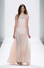 Tadashi Shoji Embroidered tulle Silk Chiffon Pale Pink Dress Gown