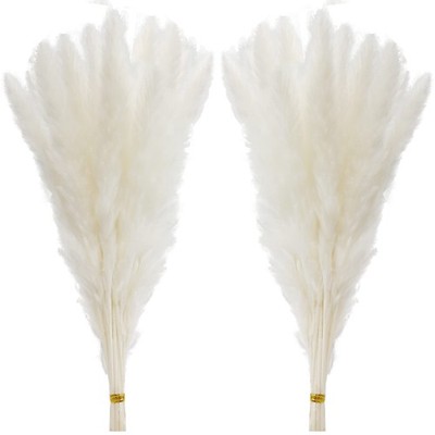 60 Pcs White Pampas Grass ,17 inch/45 cm Natural Dried Pampas Grass Branches Dec