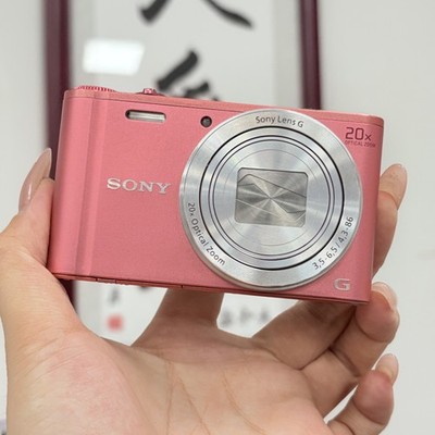 SONY Cyber-shot DSC-WX350 18.2 MP Pink Digital Camera English 20x Optical Zoom