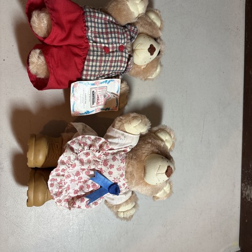A Lot Of Two Vintage FurSkins Bears 1986 Wendy’s v028