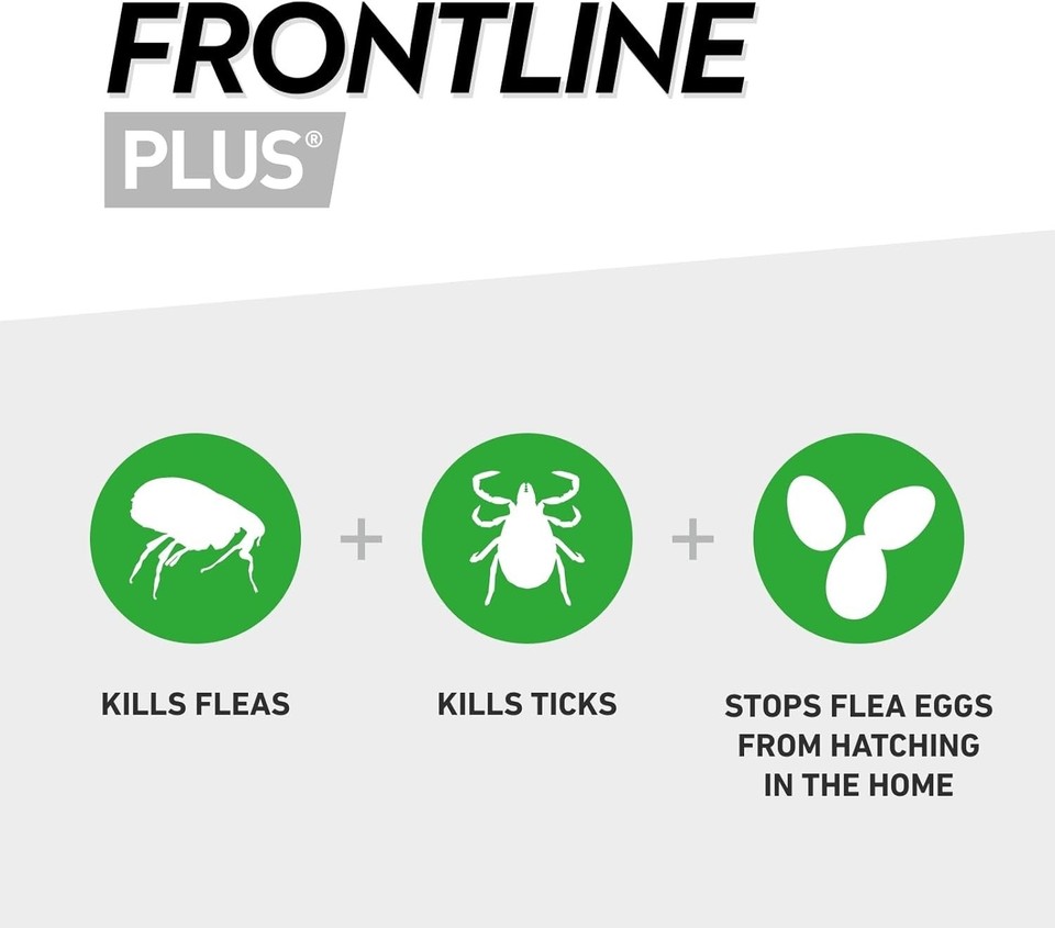 FRONTLINE Plus Flea & Tick Treatment for Cats and Ferrets - 6 Pipettes ...