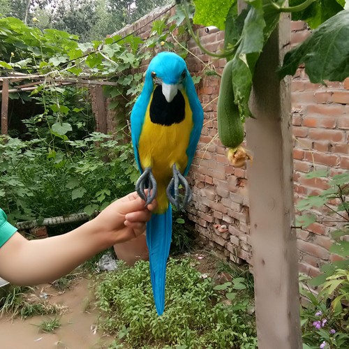 big simulation blue parrot model foam&feather new parrot doll about 45cm - Picture 4 of 4