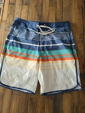 Wave Zone Men’s Board Shorts Sz 36 - Striped Color Swimsuit