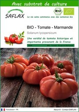 SAFLAX - BIO - Tomate - Marmande - 10 graines - Avec substrat - Solanum