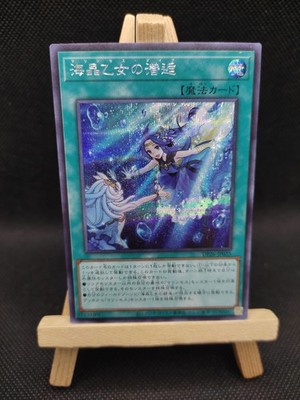 Yu-Gi-Oh Marinzessin-Tauchgang Prismatic Secret Rare DP26-JP035 Japanisch OCG