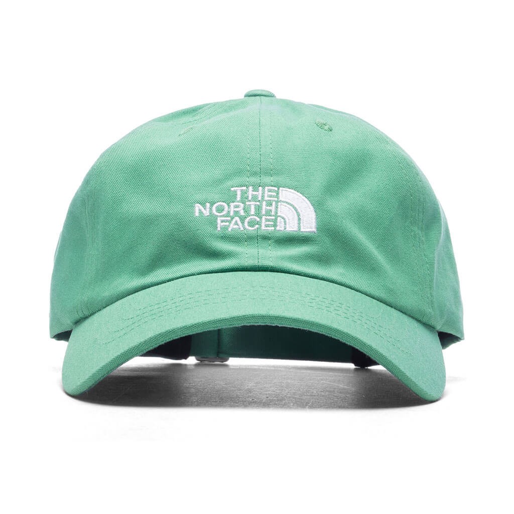 The North Face Norm Adjustable Hat in Deep Grass Green NWT