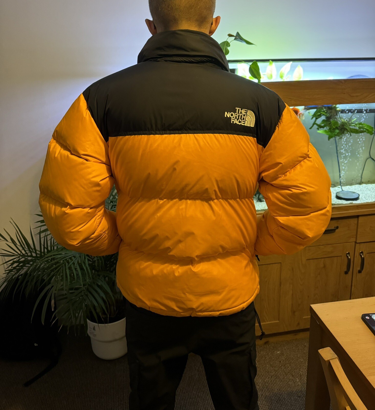 The North Face Retro 1996 Nupste Jacket Green eBay