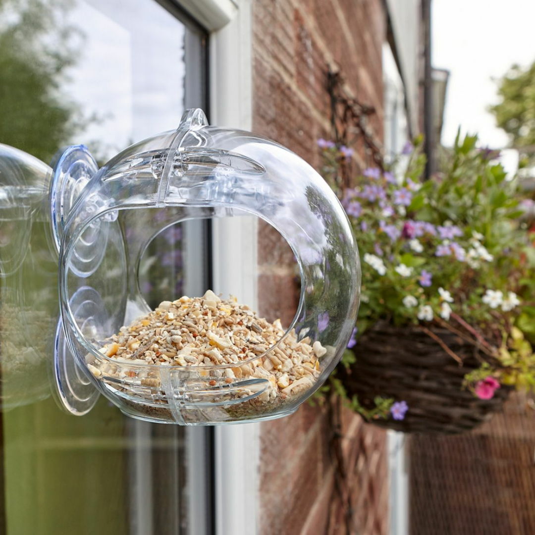 Peckish Globe Window Wild Bird Feeder For Sale Online Ebay