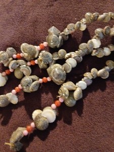 Sea Shell Snail Vintage Plant Hanger