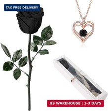 Flowers for Delivery Prime,Single Preserved Rose with Necklace for Women,Real Ro