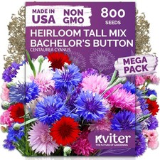 KVITER 800 Mix Bachelor Button Seeds Centaurea cyanus   Cornflower Multi