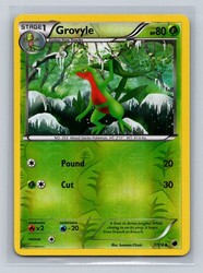 Grovyle 7/116 Reverse Holo Plasma Freeze