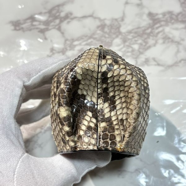Loewe Elephant Python Pattern Coin Case Snake Ski… - image 2