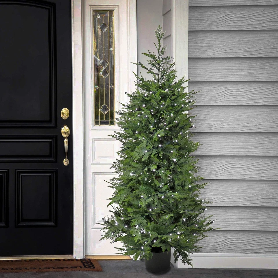 Árbol topiario de ciprés National Tree 5' en maceta de plástico negro con varios-fu Foto 2 de 2