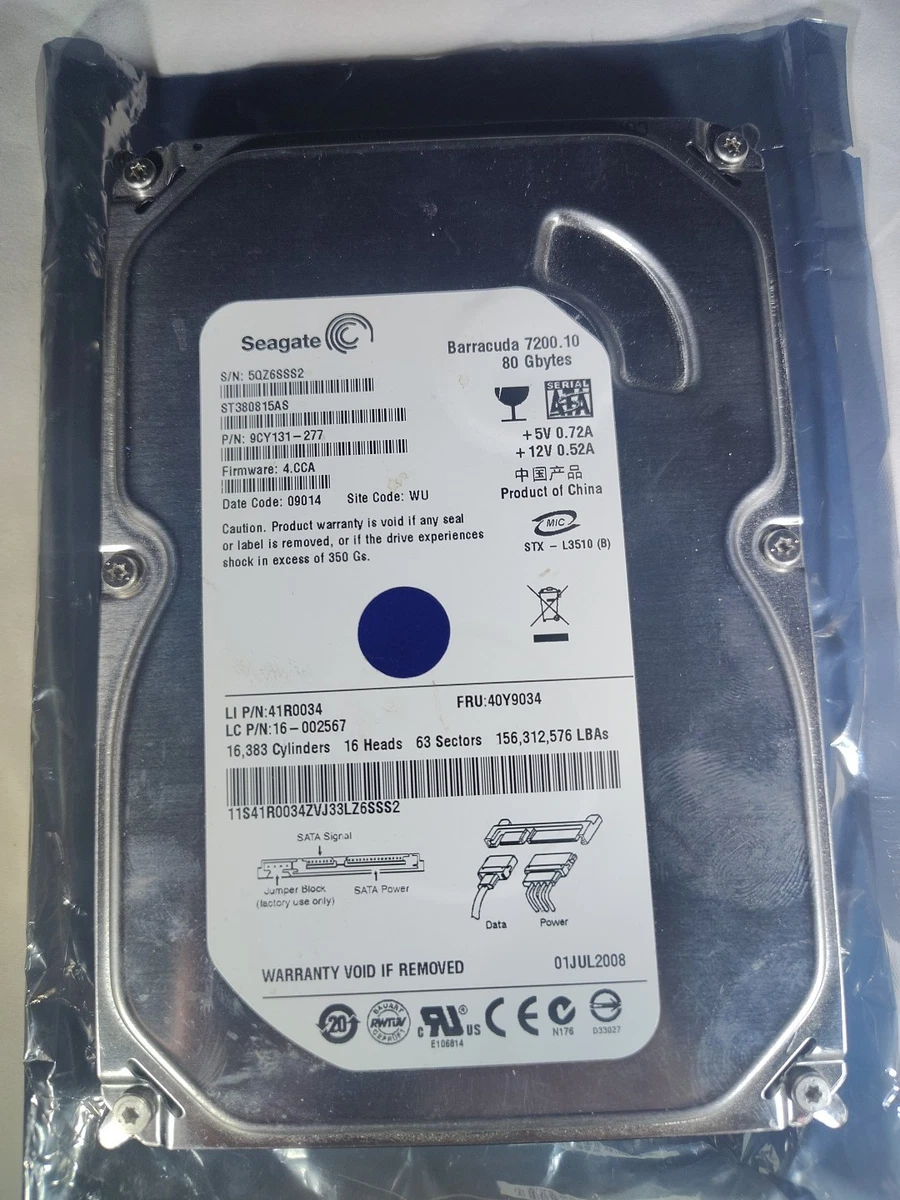 Seagate 80 GB Internal Hard Disk Drives for sale | eBay