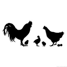 Chicken Rooster Chicks - Decal Sticker - Multiple Colors  Sizes - ebn6337