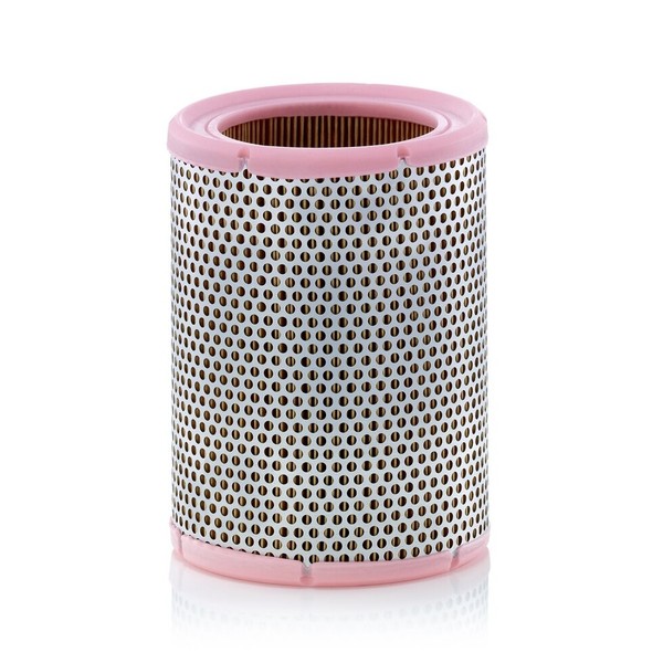 Luftfilter MANN-FILTER C 1362 FüR Renault Volvo Daf Dacia Aston Martin Lotus Aro-image