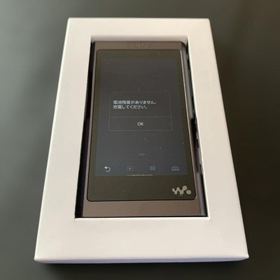 Sony Walkman NW-A55 | eBay