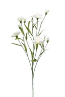 Artplants KüNstliche Blume Nelke Kano, Creme, 70Cm