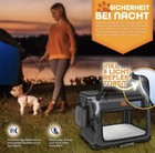 Bild 8 von 9