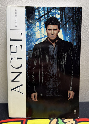 Angel Omnibus - IDW Publishing , Angel After the Fall. Good Condition Free Ship
