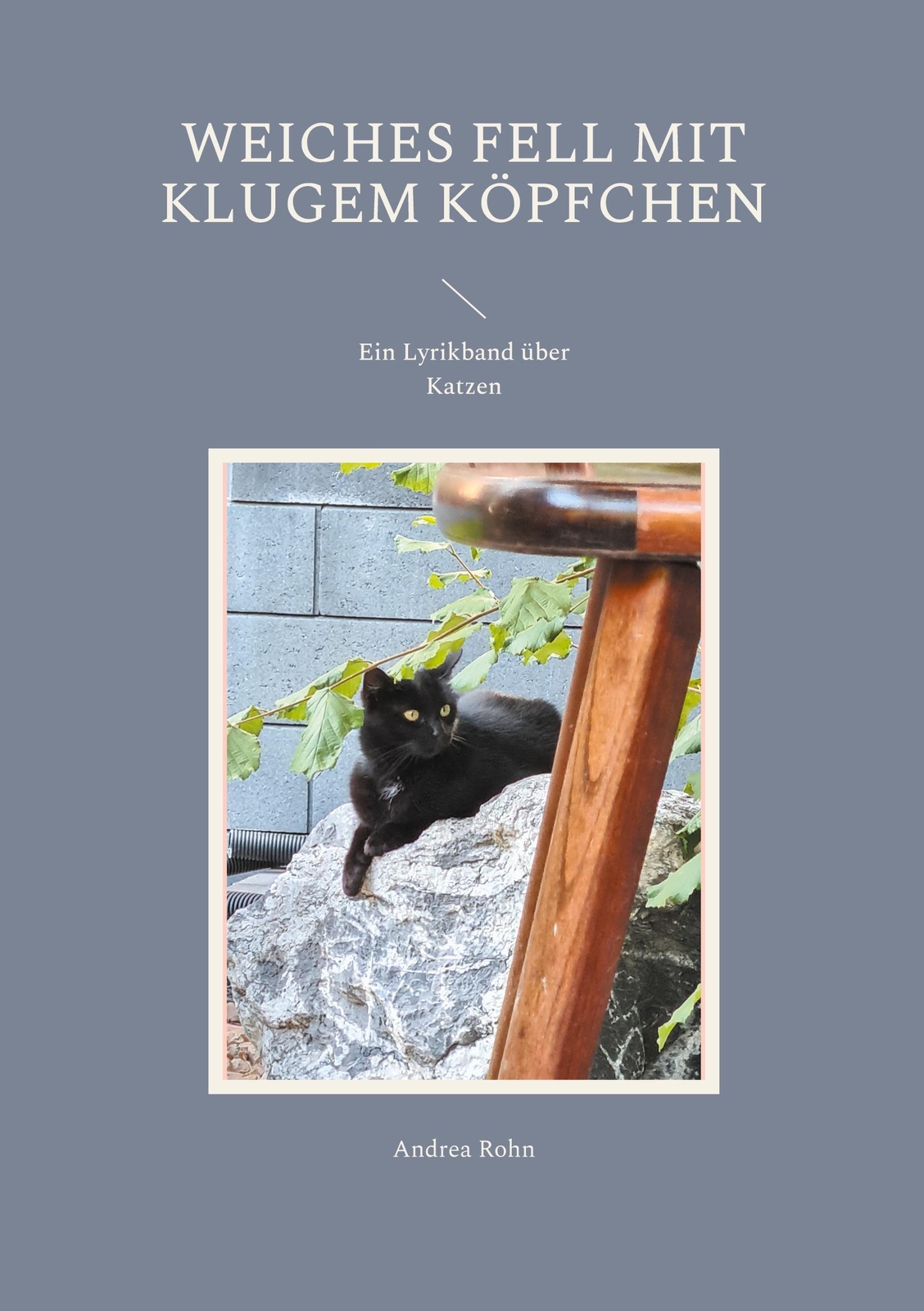 Thumbnail - Weiches Fell Mit Klugem Köpfchen Ein Lyrikband Über Katzen Andrea Rohn