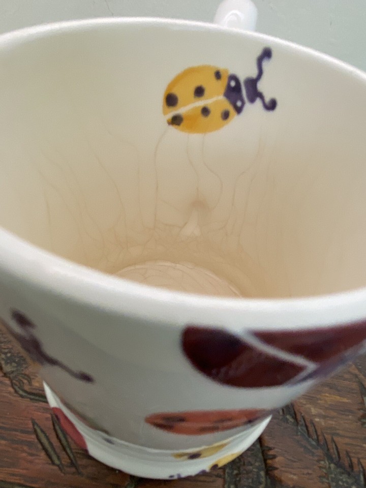 EMMA BRIDGEWATER 1/2 PINT MUG LADYBIRD MUG With Crazing eBay