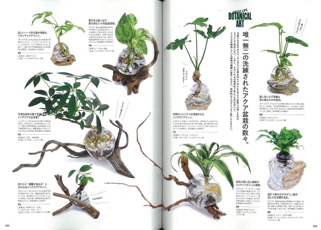 グリーンライフ Vol.207 Lightning Green Life vol 207 June 2019 magazine Japan | eBay