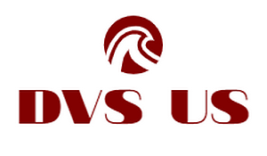 DVS US | eBay Stores