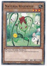 Naturia Rosenpeitsche - (HAC1-DE099 - 1. Auflage - Duel Terminal Rare) - NM - Yugioh