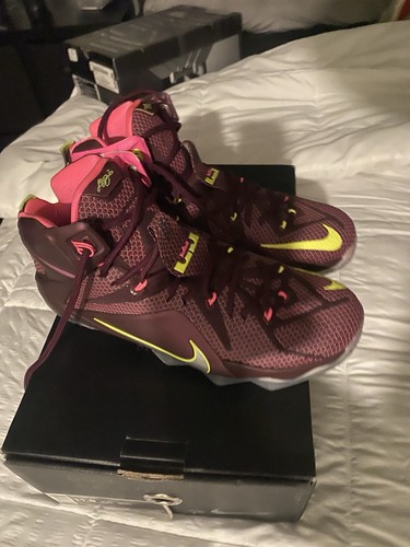 lebron 12 burgundy