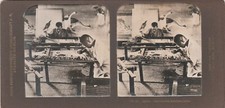 OTTOMAN PERIOD STEREO VINTAGE PHOTOGRAPH - JAPAN ARTISTS
