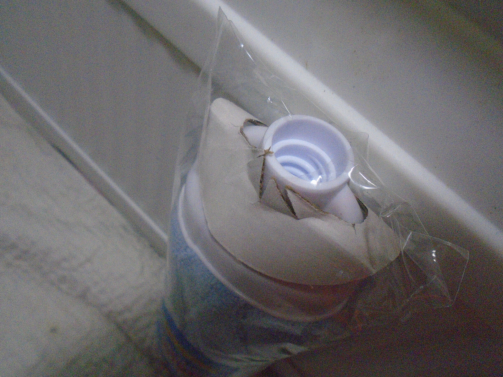 Mr. Clean Microfiber Cloth Mop Refill For Laminates Tile Stone Hardwood