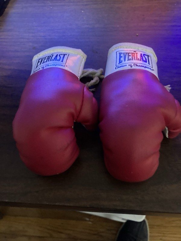 Miniature 3 Inch Leather Everlast Boxing Glovesk