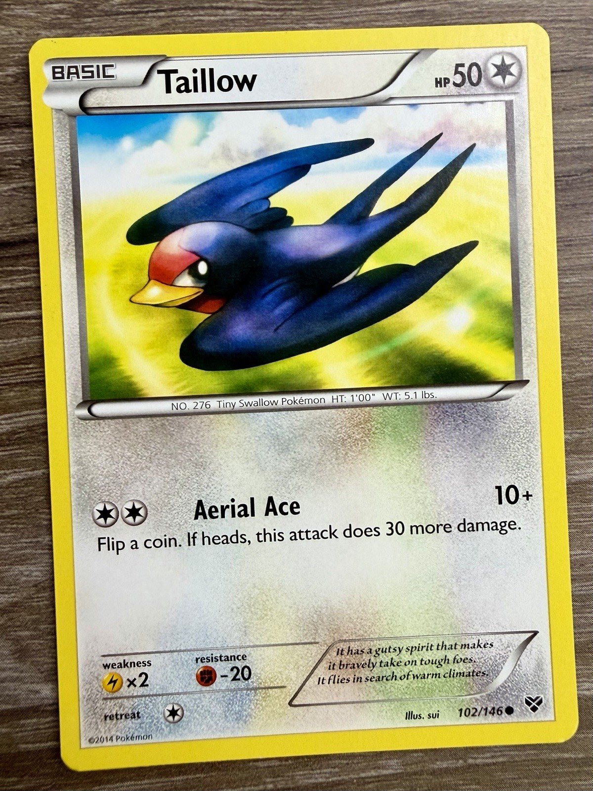 Taillow 102/146 XY Base Set Regular Common Non Holo LP 2014