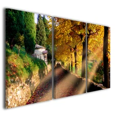 Modern Paintings Flowers & Plants Nature Parkway Canvas Prints Living Room