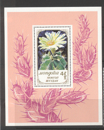 Mongolia 1989 CACTUS/Cacti/Nature/Plants m/s n12176