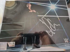WWE Gunther Signed In Ring Standing In Spotlight  Fanatics 10 x 8 Photo Auto Coa