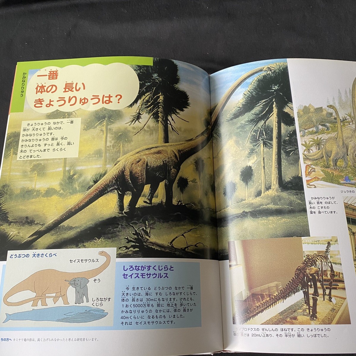 Dinosaurs Encyclopedia Japanese Picture Book Gakken