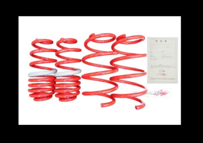 Tanabe GENUINE OEM Coil Springs DF210 for Nissan Elgrand E51