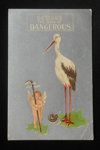 1909 BEWARE The Bird is DANGEROUS Stork in Ball and Chain Cherub Baby Maker PC