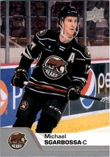 2020-21 Upper Deck AHL #24 Michael Sgarbossa - HKY