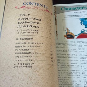 TETSUYARO SHINKAIDA Art Works PRINCESS QUEST w/Card Sega Saturn Fan Book 1996