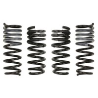 Fahrwerksatz, Federn Eibach Pro-Kit E10-20-041-01-22